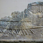 אימפריה צפה – פניקים