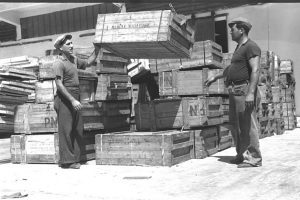 סבלים בעבודה בנמל תל אביב, 1948 צילום: לע"מ
