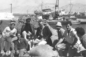 Stevedores take a break in Eilat's old port, 1960