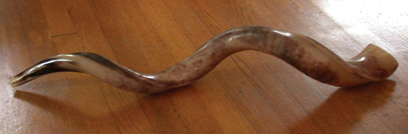 A Yemenite shofar made from a kudu horn