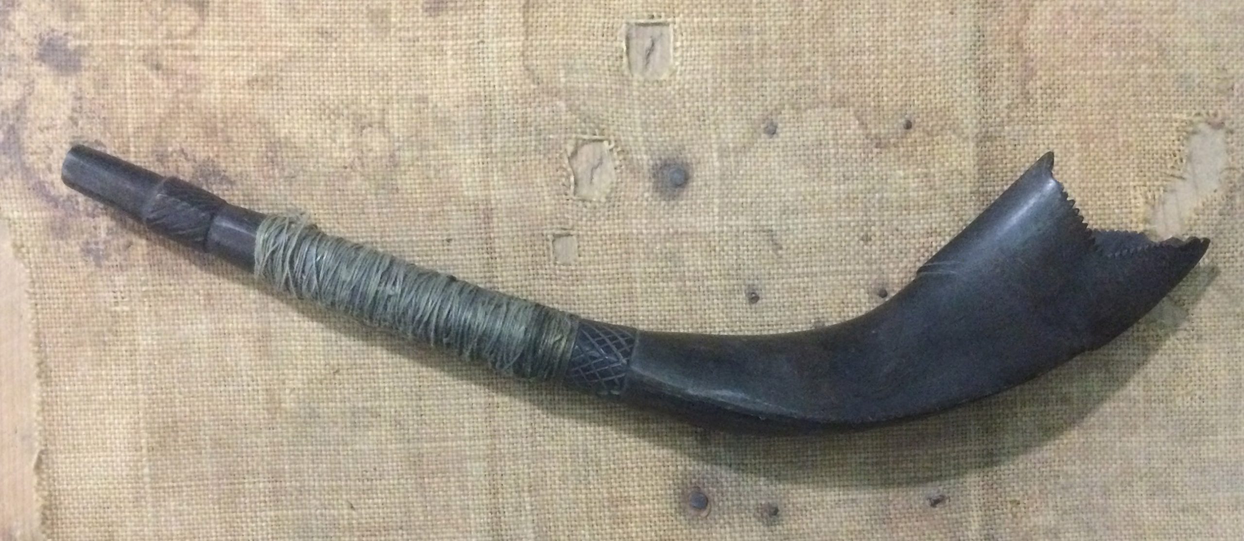 Was this shofar blown on the Sabbath? A black shofar tied with a leather thong, discovered in the basement of the Sephardic synagogue in Sofia, Bulgaria