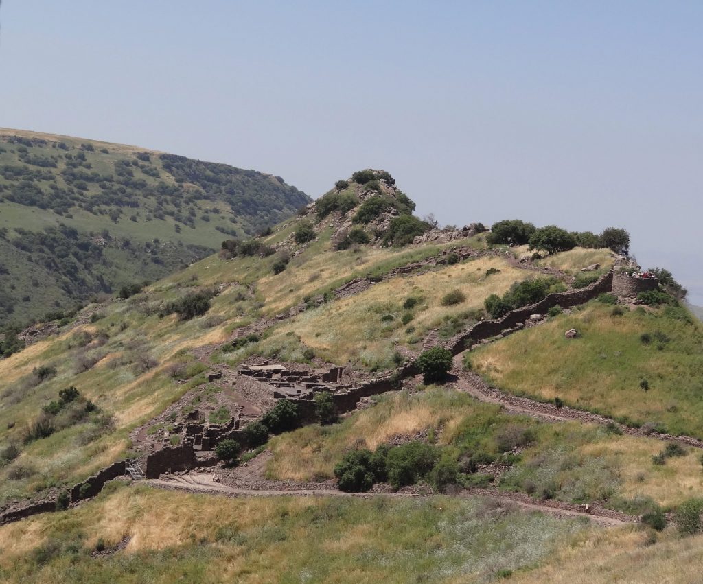 A sloping city. From a distance, the camel’s-hump shape that gave Gamla its name is clearly apparent – as is the way the ruined terraces of the city still support each other 