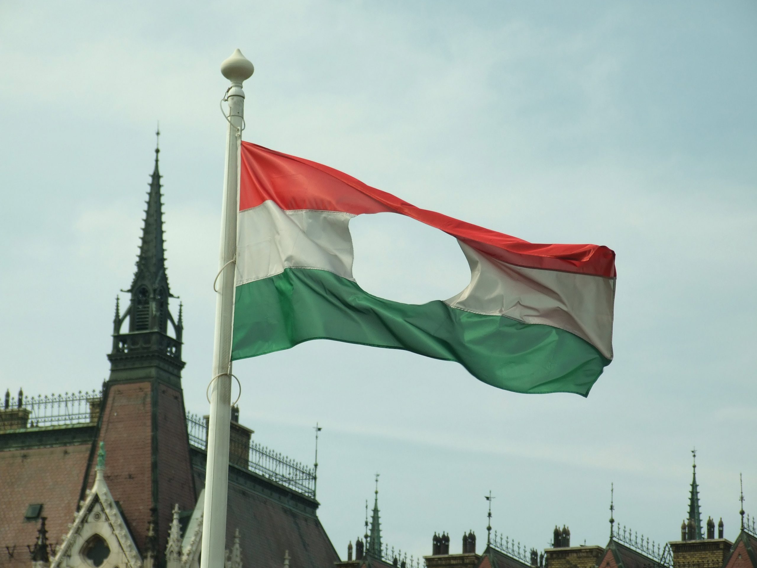 The Hungarian rebels cut the Communist emblem out of the middle of the Hungarian flag, leaving a torn a three color flag as the symbol of the revolt