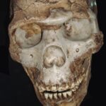 Man Is Born – Prehistoric Man