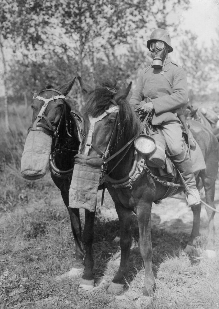 Gas masks for one and all. A German supply officer and his horses, all wearing gas masks, March 1918