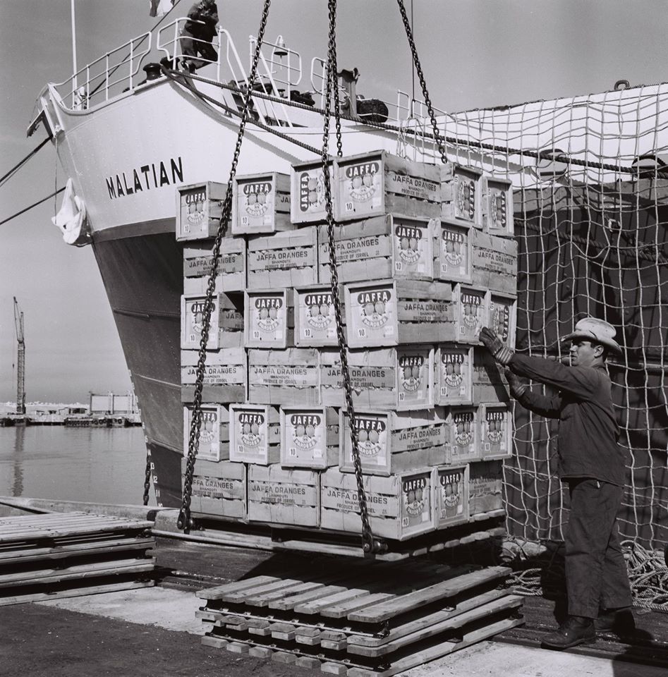 העמסת תפוזי ג'אפה בנמל אשדוד א, נובמבר 1965