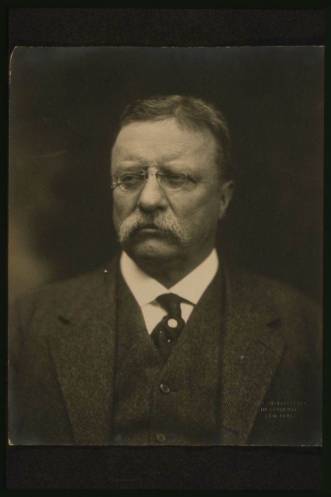 No less of a Zionist: Theodore Roosevelt 