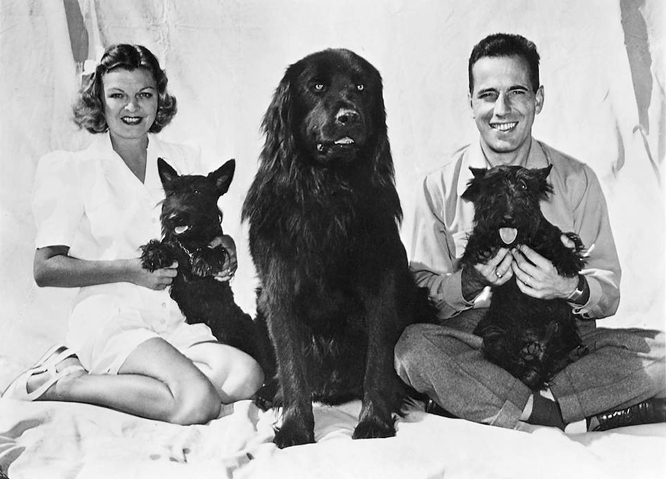 האמפרי בוגארט ומאיו מתוט עם שלושת כלביהם על שער המגזין 'לייף', 12 ביוני 1944