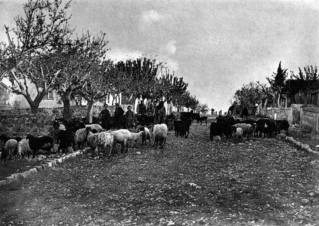 מחוזות ילדותו. צאן ברחובות זכרון יעקב, 1912