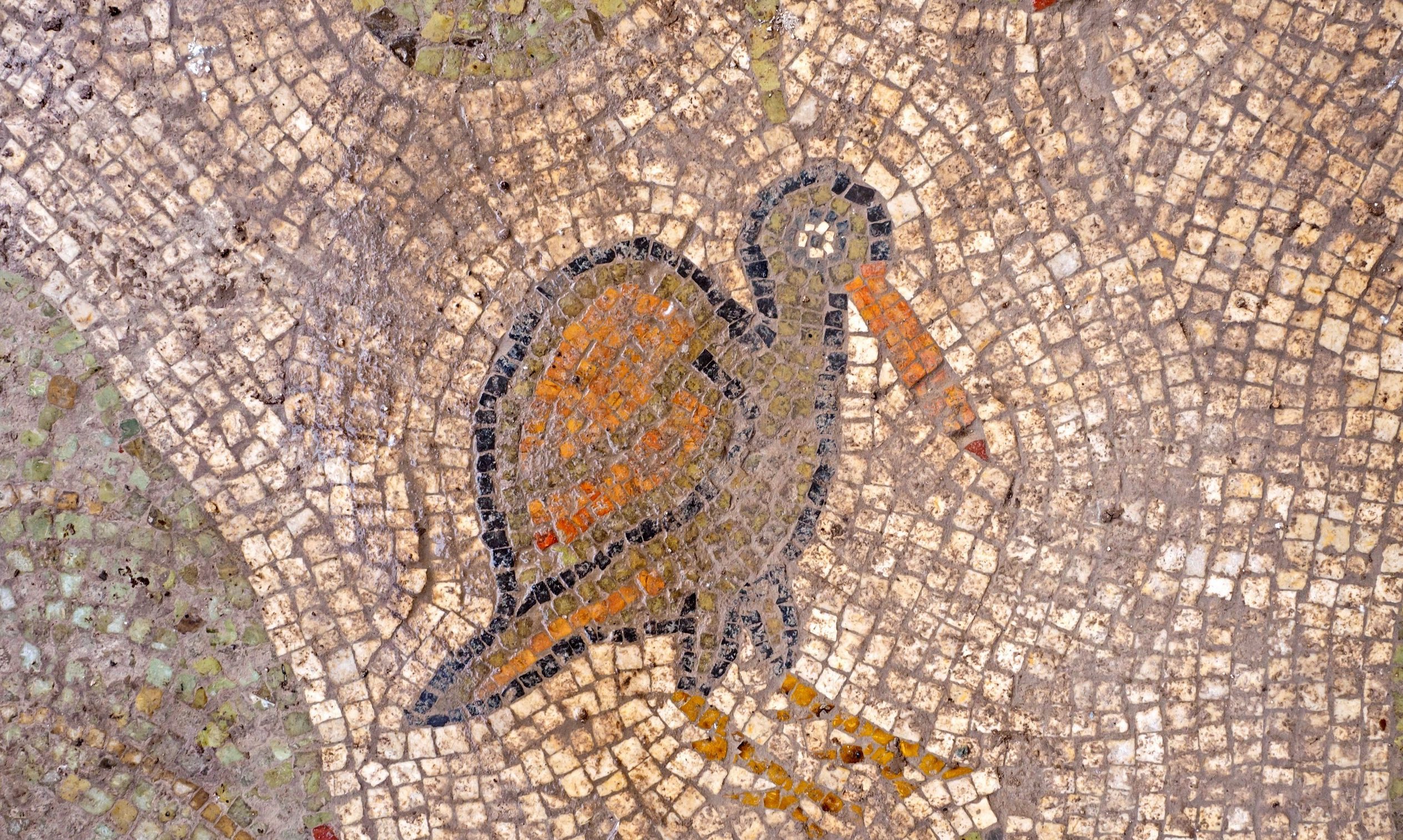 Detail from the church's mosaic floor, circa early sixth century