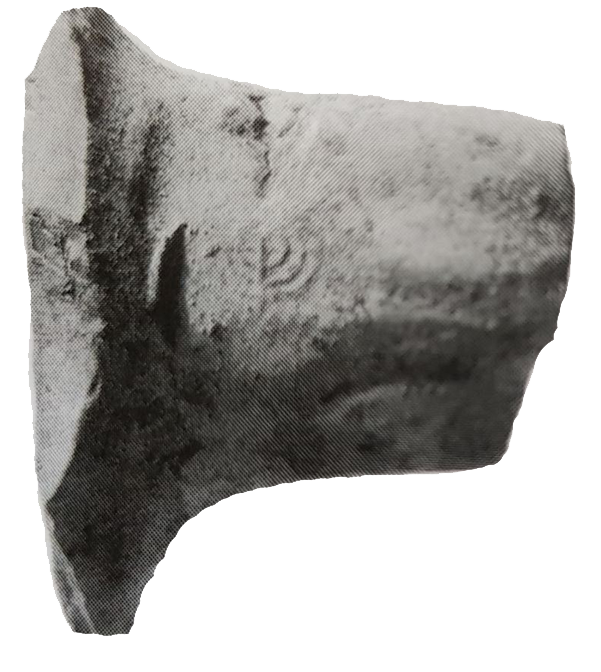 Fragment of a pottery handle bearing a seal imprint of the seven-branched menorah. Found in archaeological excavation in Kfar Ginis (near Lod). From the beginning of the Umayyad period.