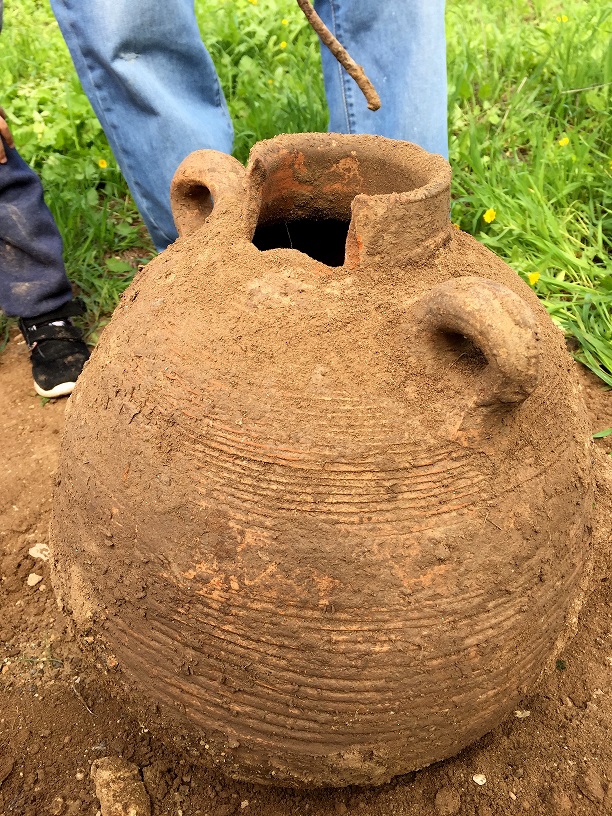 The Byzantine storage jar found by the Harod Stream