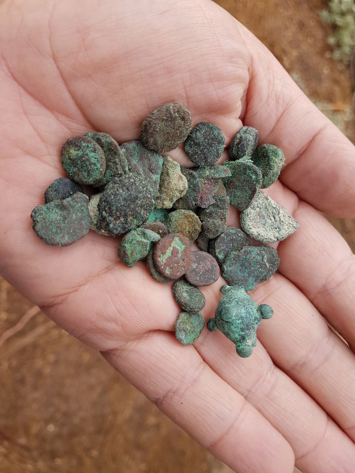 Bronze coins confiscated from the antiquities thief