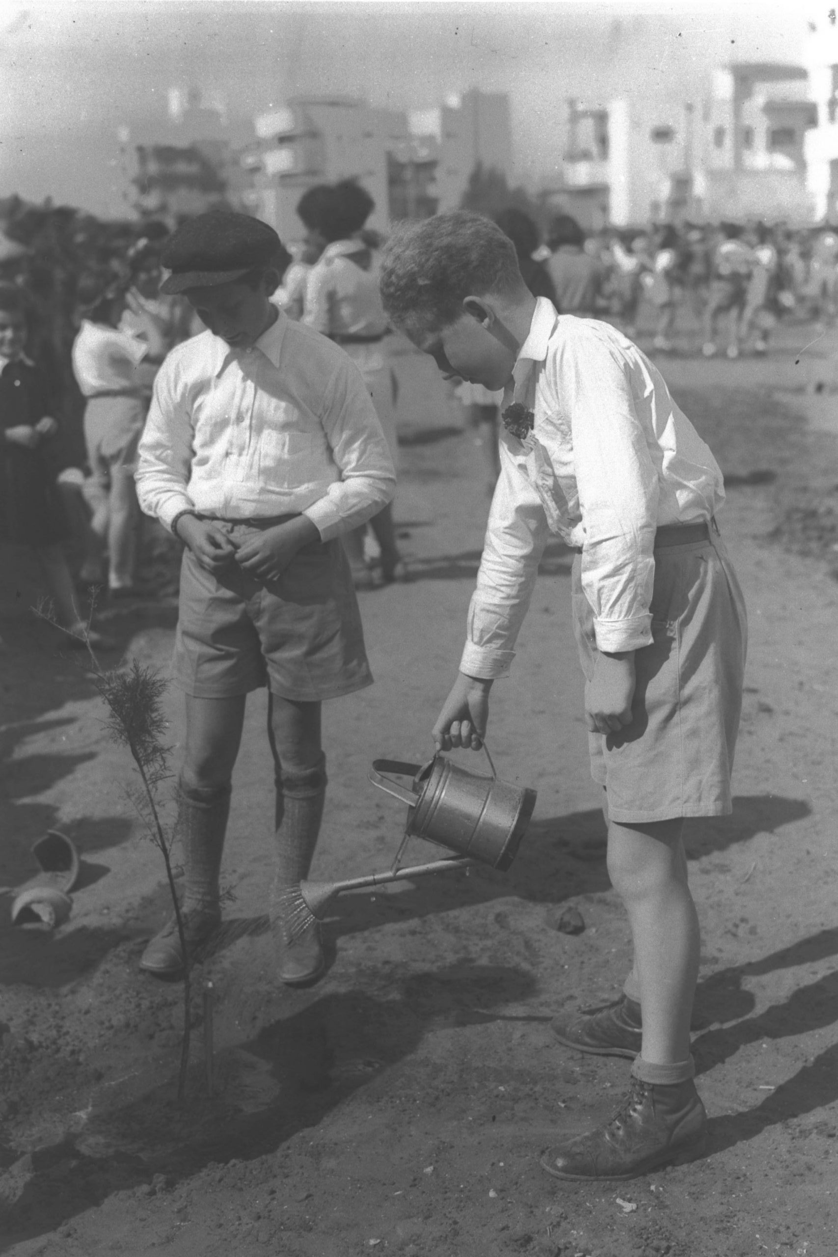 Children planting trees on 15 Shevat along Keren Kayemet Street in Tel Aviv, 1936