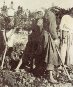 Rahel at work on Kibbutz Degania, 1920