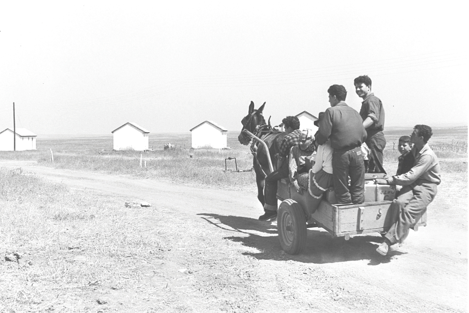 השמועה שיש במרוקו גם יהודים חקלאים עוררה התפעלות בקרב מנהיגי היישוב. עולים מגיעים למושב אחוזם, 1954