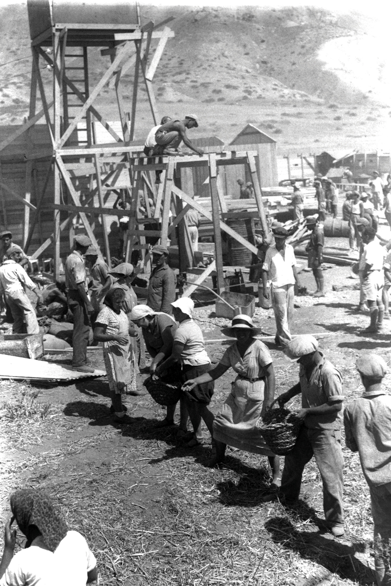 לפני קום המדינה לא חסרו מתנדבים להתיישבות. הקמת קיבוץ עין גב, 1937