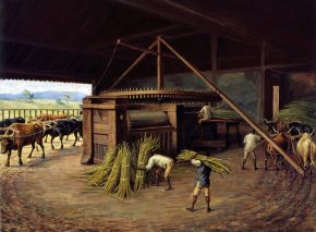 מיליוני אנשים שועבדו באמריקה כדי לייצר סוכר לפועלי אירופה. בנדיטו קליסטו, מטחנת סוכר בקמפינאס, 1830. מוזאון פאוליסטה, סאו פאולו