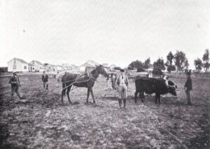 Why pay extra for Jewish workers? Farmers and laborers in Be’er Tuvia – one of the early Zionist colonies, founded with the help of Baron Edmond de Rothschild – at the end of the 19th century