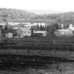 Tale of a Trail | Kfar Hasidim