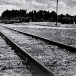 Spark of Rebellion – Treblinka Revolt