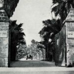 מצמיחים מדינה – מקוה ישראל