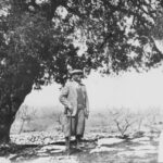 Pomello King – Shmuel Zvi Holzman