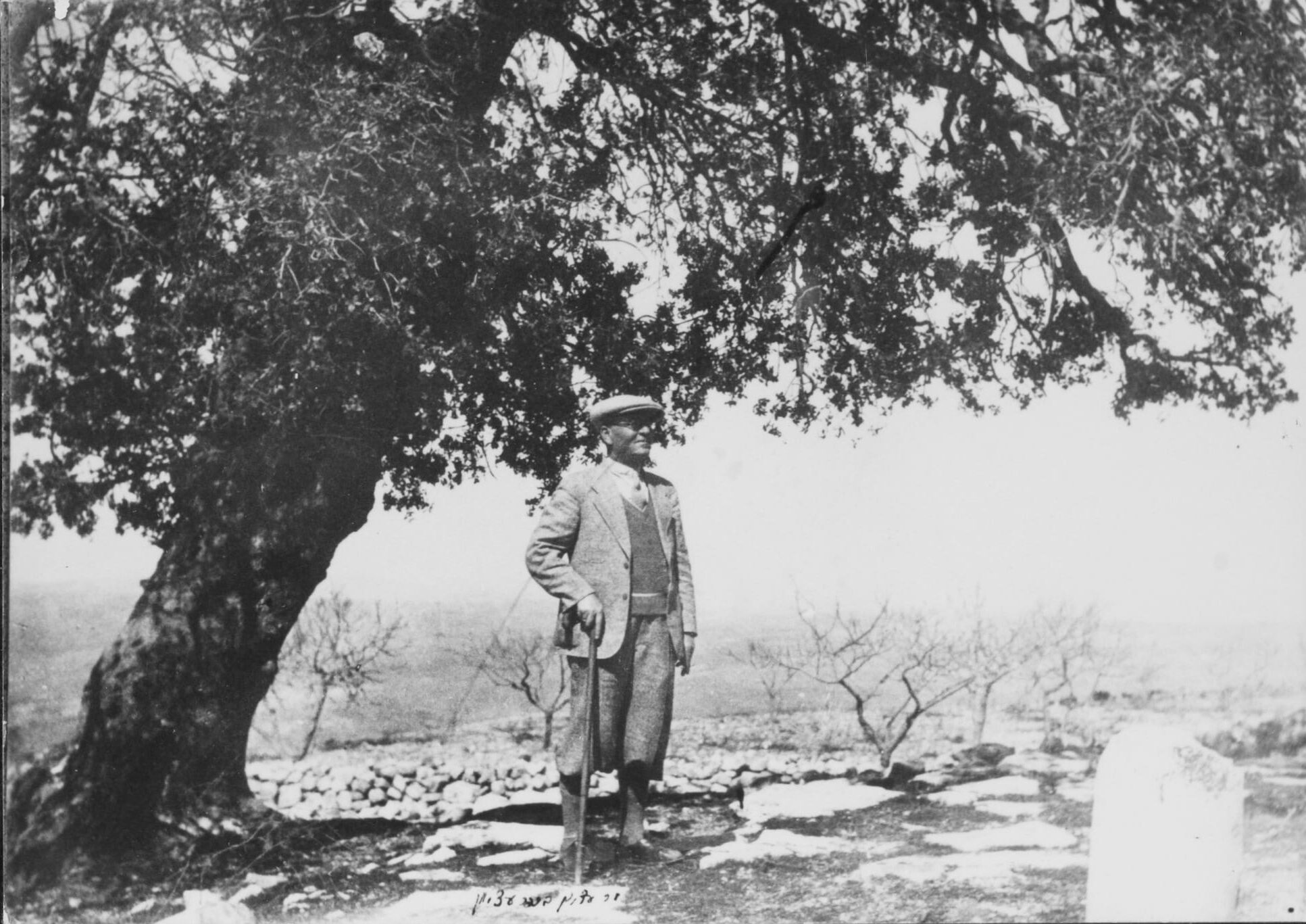 Shmuel Zvi Holzman beneath the solitary, ancient oak marking the site of the Etzion Bloc | All pictures courtesy of the Kfar Etzion Archive unless otherwise specified