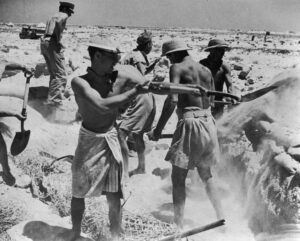 חיילים בריטים שפשטו את חולצותיהם במהלך חפירות מסתור במדבר המערבי, יוני 1942 | צילום: Hulton Archive / Getty Images