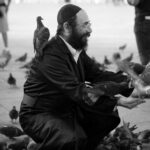 להאכיל את השמים – פיזור זירעונים לציפורים