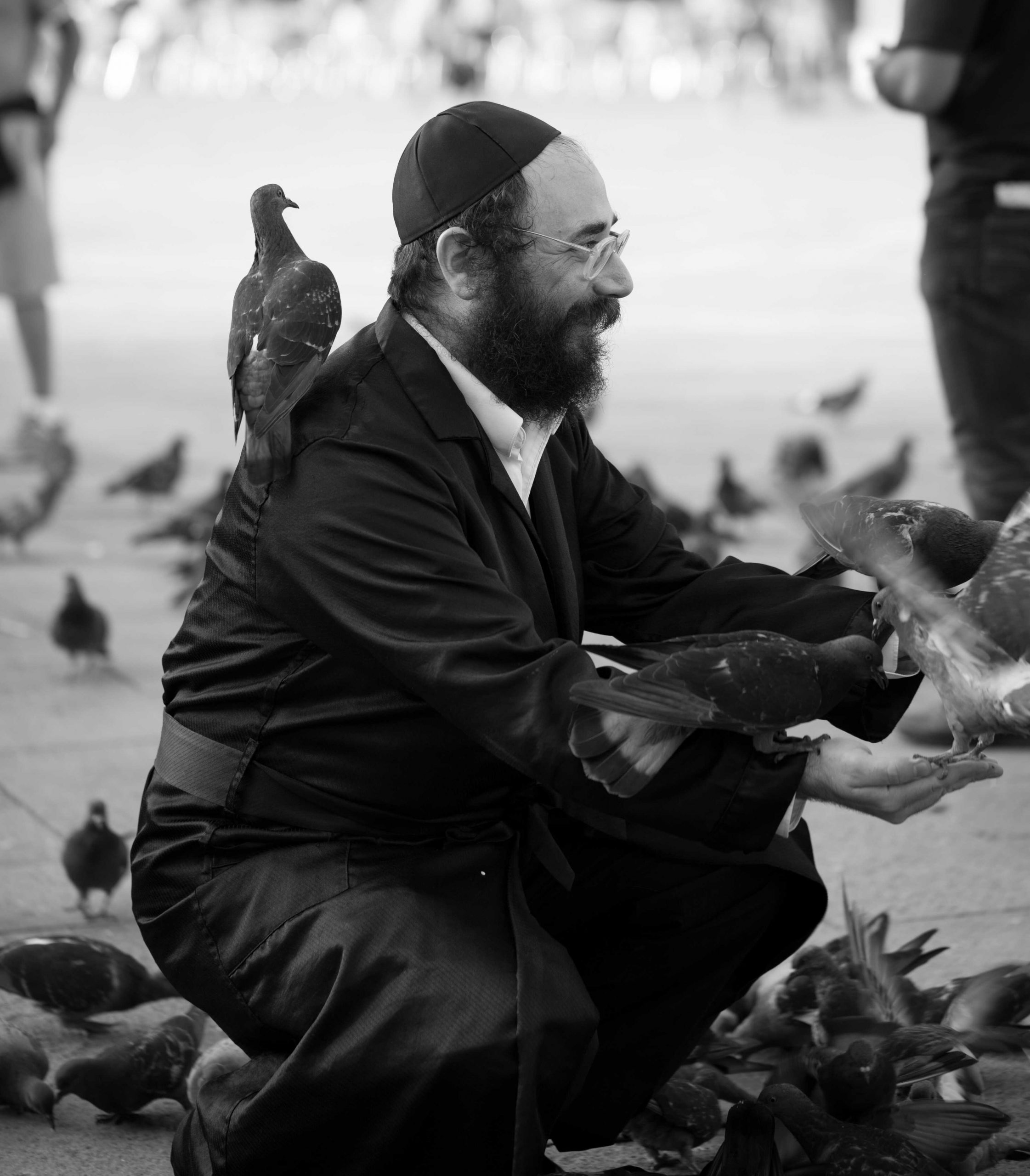 מה עומד בבסיס המנהג של קהילות יהודיות שונות להאכיל ציפורים? יהודי מאכיל יונים בכיכר סן מרקו בוונציה שבאיטליה | oliale72