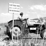 Lost to Lebanon – Metula’s Lebanese Fields