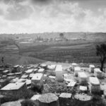 אישה גודרת גדר – משפחת ששון והר הזיתים